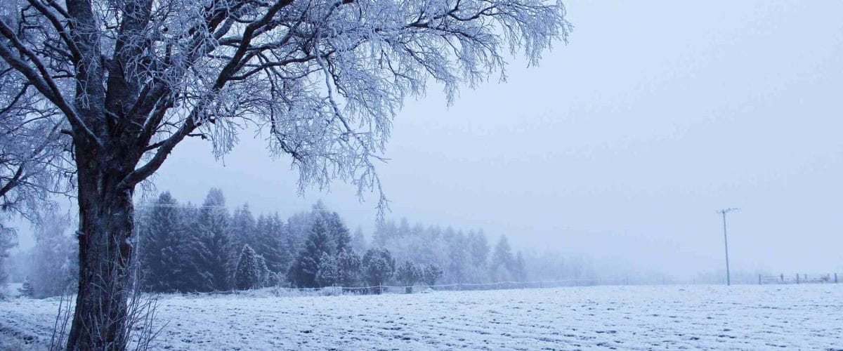 Select Where Did Winter Go? Why Finland’s February Feels Like Spring Where Did Winter Go? Why Finland’s February Feels Like Spring