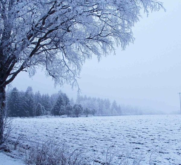 Select Where Did Winter Go? Why Finland’s February Feels Like Spring Where Did Winter Go? Why Finland’s February Feels Like Spring